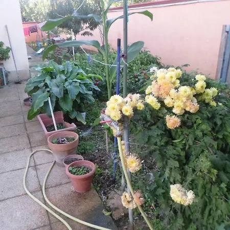 Nocleg ze śniadaniem Gherghina *