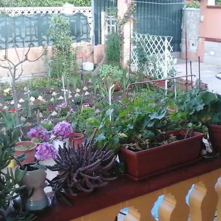 Nocleg ze śniadaniem Gherghina Lama (Apulia)