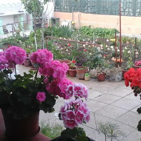 Gherghina Lama (Apulia)