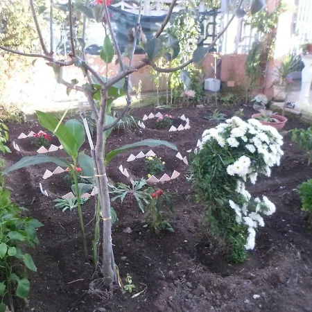 Gherghina Bed & Breakfast