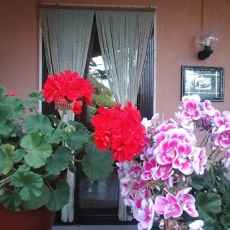 Bed & Breakfast Gherghina *