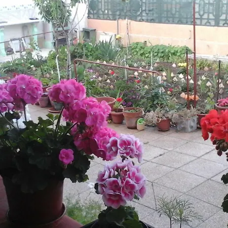 Gherghina Lama (Apulia)
