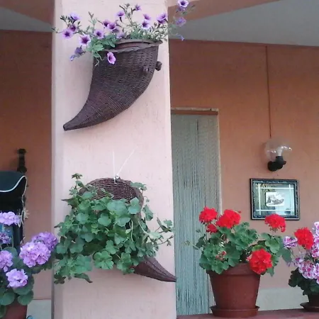 Bed & Breakfast Gherghina *